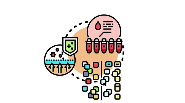 B cell affinity maturation process immune system response, antibody production, and defense mechanism development within biological organisms
