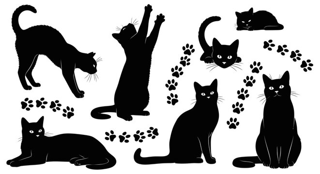 Collection of black cat silhouettes in various natural poses including sitting, walking, jumping, and stretching, isolated on white background, scalable vector illustration.