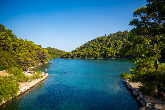 View of Veliko Jezero or Big Lake in Mljet National Park on Mljet Island in Croatia. Protected Mediterranean nature and peaceful lake landscape concept.