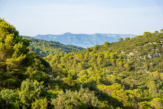 Panoramic view from the mountain pass above Mljet National Park on Mljet Island Croatia. Mediterranean forest landscape and protected nature.
