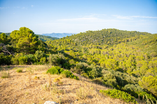 Panoramic view from the mountain pass above Mljet National Park on Mljet Island Croatia. Mediterranean forest landscape and protected nature.
