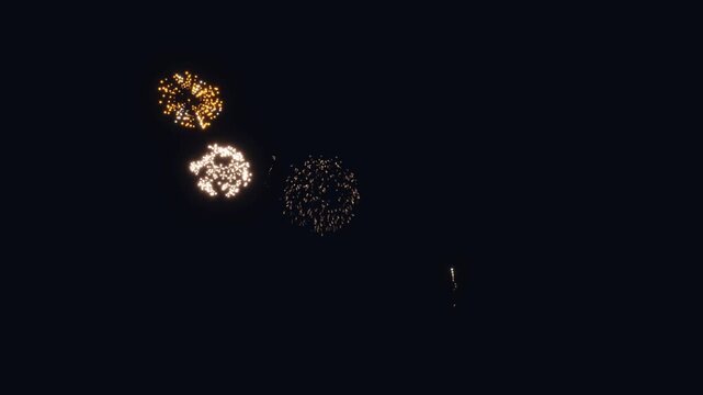 3d render firework A mesmerizing 3D render of a fireworks display unfolding against the absolute blackness of night