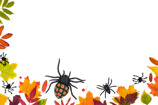 Horizontal autumn banner with a fallen colorful leaves and black spiders on a transparent background with place for text