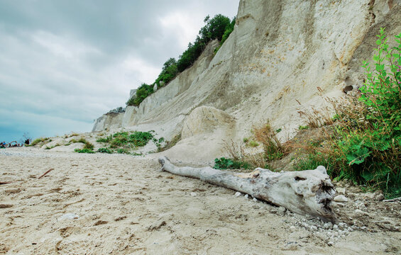 Mons klint in Denmark