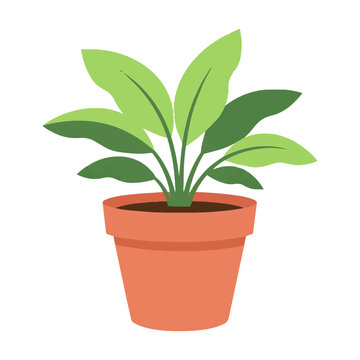 Healthy green houseplant in a terracotta pot with flat colors and minimalist shapes isolated on white background, botanical design concept