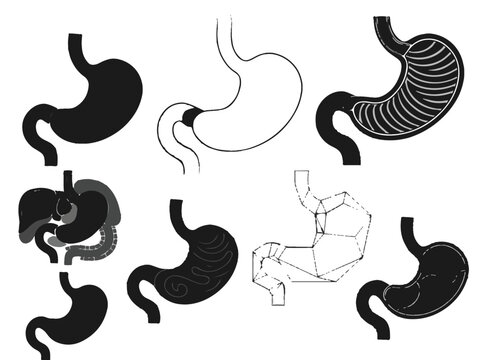Set of human stomach anatomy including silhouette, outline, cross-section, and geometric polygonal styles in black and white