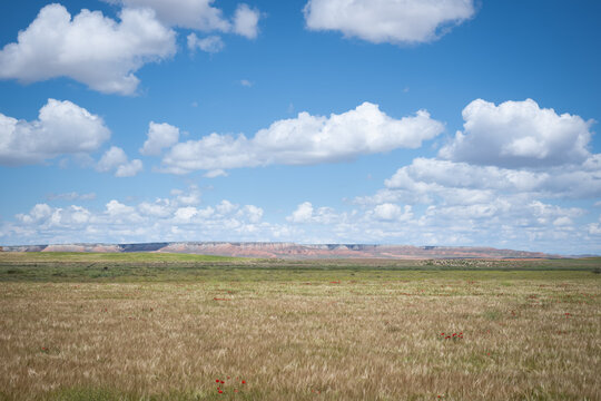 Red Hills of La Lomaza and La Pedriza in El Planer&oacute;n, Zaragoza, Spain