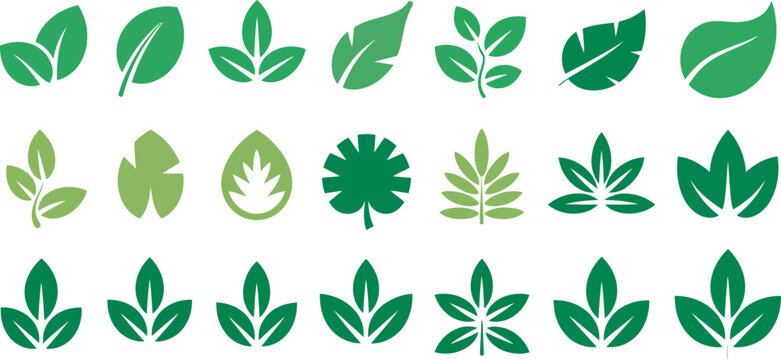Small green leaf icon set, various foliage shapes and orientations for botanical graphics, eco friendly branding, organic products, nature themes, gardening, packaging, and vector illustration.