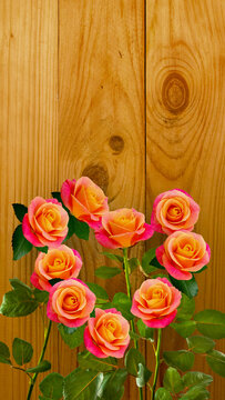 Bright roses arranged near a wooden wall under indoor light in a simple setting