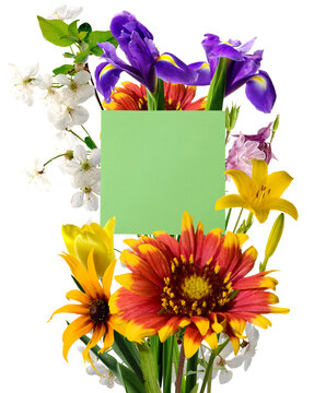 Colorful flowers arranged around a blank green note for messages in a simple display isolated on transparent background, PNG file