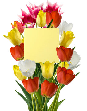 Flowers arranged with a yellow note in the center, showing a mix of colors and types including red, yellow, and white tulips isolated on transparent background, PNG file