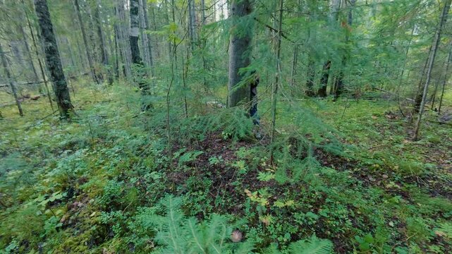 The girl is picking mushrooms in the forest, and an inappropriate man is following her. The psycho is stalking the girl in the forest. From the first person.