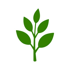 Fototapeta premium Green Plant Branch With Six Leaves