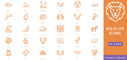Naklejka premium Set of thirty orange wildlife outline featuring mammals, birds, reptiles, and marine animals with text labels on white and orange background