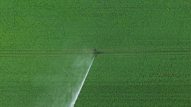 Agricultural center pivot irrigation system watering a lush green field from a top-down aerial perspective