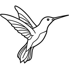 Fototapeta premium Hummingbird line art vector