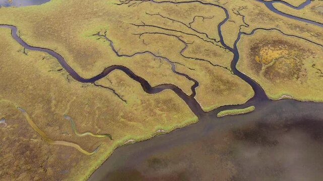 High-altitude drone perspective flying over a beautiful wetland ecosystem, revealing intricate patterns of meandering river channels and tidal creeks flowing through a vast grassy salt marsh