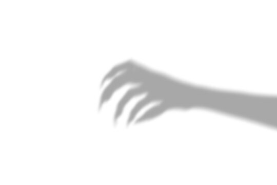 A dark silhouette shadow of a scary monster hand with sharp claws reaching out on a plain white wall background for halloween horror concepts