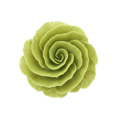 Obraz premium Top View of a Beautiful Lime Green Decorative Flower