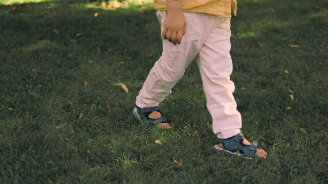 Cute little boy wearing sunglasses and a yellow shirt walking in a sunny green park during summer. Happy childhood and outdoor lifestyle portrait of a fashionable child enjoying nature.