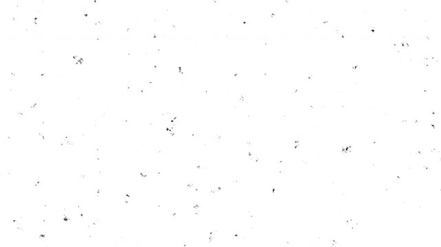 Subtle black noise texture overlay creating a vintage analog film grain effect on a brilliant luminous expanse perfect digital asset for adding a distressed authentic retro atmosphere to creative comp