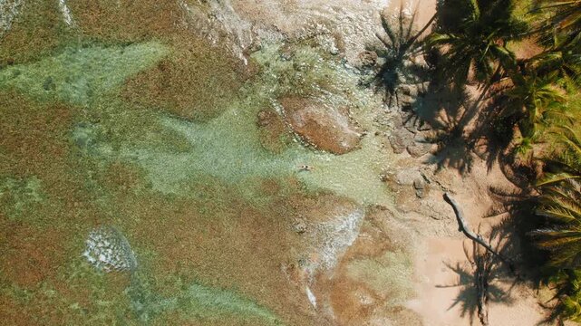 Woman swimming in tidal pool by palm shaded shore at Playa Cocles in Costa Rica