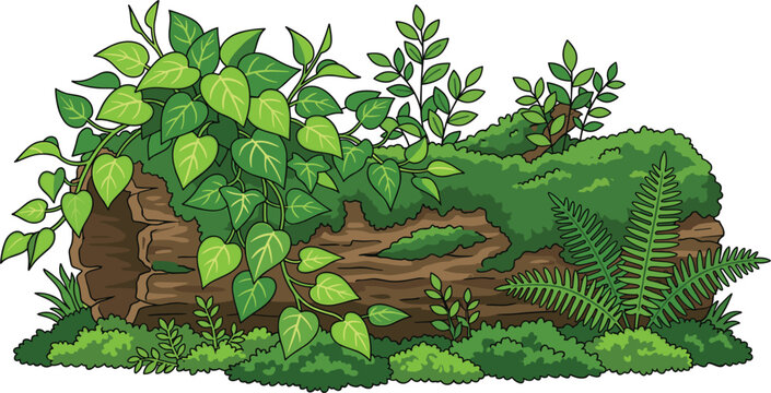 Old fallen tree log vector illustration covered in green moss climbing ivy vines and forest fern plants isolated on a solid white background