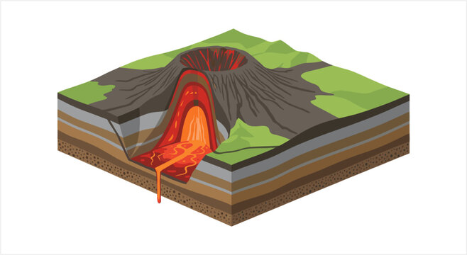 Cross section of an erupting volcano showing magma chamber and lava flow.