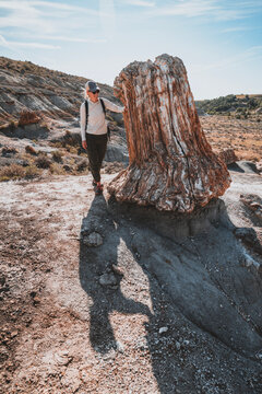 Woman traveler touches giant petrified wood stump, North Dakota