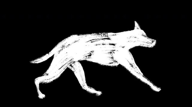 Hand drawn white silhouette of fast running wolf or dog on black background, dynamic frame animation loop. Abstract grunge motion art.