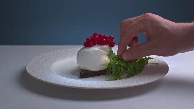 Chef hands decorating gourmet burrata cheese plate with fresh red berries closeup