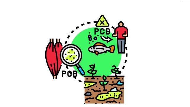 Environmental contaminants like pcbs impacting ecosystems and food chains, accumulating in fish and human muscle tissue, ecological pollution and health risks
