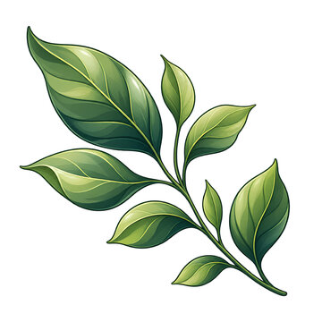 Aesthetic Green Leaves Vector PNG