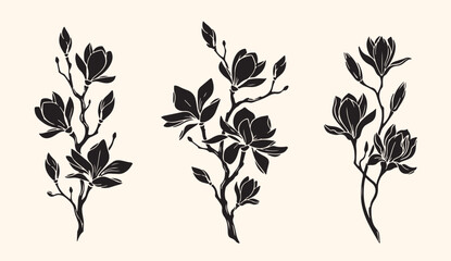 magnolia flower branch silhouette elements, spring botanical vector set, blooming magnolia graphics bundle, branch design collection, monochrome magnolia elements, outdoor graphic components, magnolia © divya