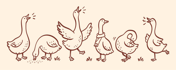 Fototapeta premium Hand Drawn Goose Outlines Set, Cute Farm Birds Collection for Children, Storybook and Fairy Tale Illustrations, Rustic Farm Animal Sketches, Vintage Cartoon Line Art Vector for books cottagecore