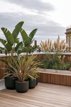 Urban rooftop planting corner featuring matte charcoal planters with banana palm and pampas grass against a cloudy sky backdrop