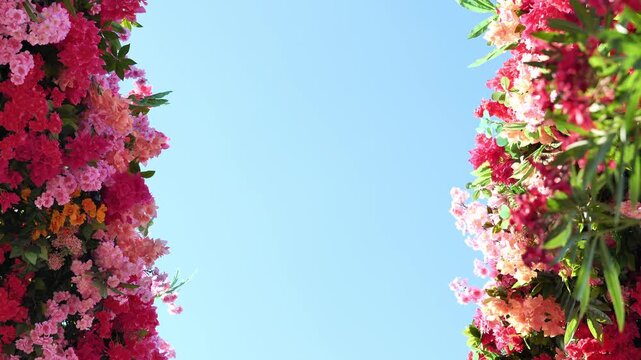 Vibrant spring blossoms framing clear blue sky, creating a beautiful natural border