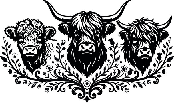 A detailed black and white line art illustration featuring three fluffy highland cattle heads surrounded by elegant floral scrollwork patterns on a white background