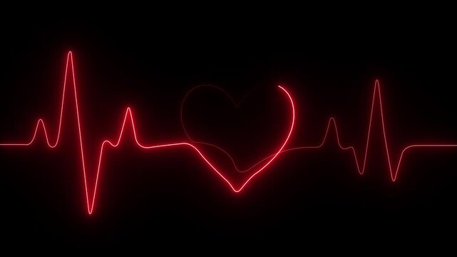 Single solid line art cardiogram anatomical human heart silhouette. Healthy medicine and love concept, Heartbeat Line and Pulse ECG Waveform Loop Animation..
