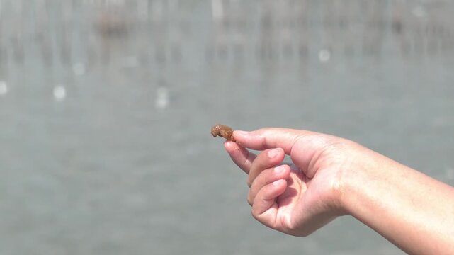 Outstretched hand holding a piece of food over the water, waiting to attract migratory seagulls for feeding at Bang Pu Recreation Center