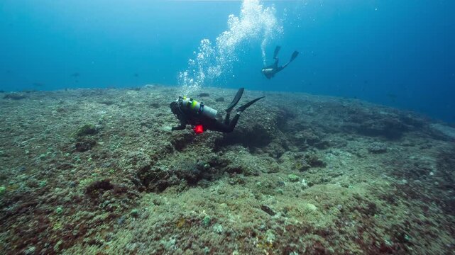 Underwater shot of SCUBA Divers in strong current being swept over a deep tropical reef in Peleliu, Palau
