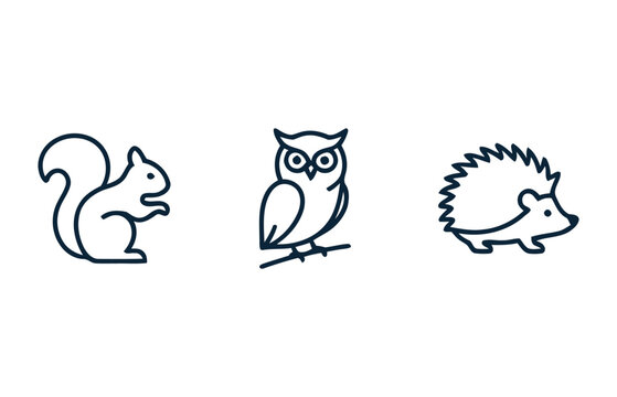 Charming black and white line art illustration of a squirrel owl and hedgehog