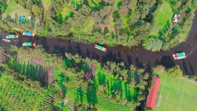 Aerial overhead shot of colorful trajineras carrying tourists along the canals of Xochimilco, surrounded by chinampas with crops in Mexico City, Mexico.