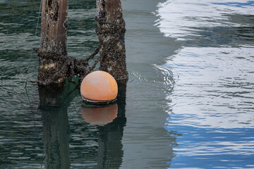 Orange weathered mooring buoy and barnacle-covered wooden pilings with rippling water reflecting blue sky, close-up. © thomasgweber