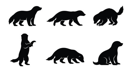 Fototapeta premium Badger silhouettes in various poses a flat vector illustration