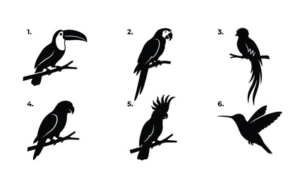 Fototapeta premium Collection of tropical bird silhouettes against a plain white background