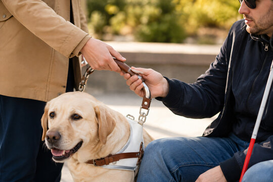 Guide dog assisting a visually impaired man with outdoor mobility, illustrating accessibility, independence, service animals, disability support and inclusive living