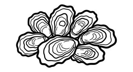 Fresh Raw Oysters Illustration © kiki__