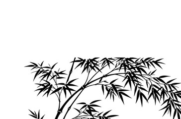 Fototapeta premium bamboo