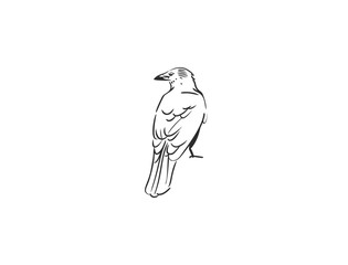 Naklejka premium Raven Bird Hand Drawn Line Art, Gothic Crow Sketch, Mysterious Black Bird Tattoo Style Vector Illustration Isolated on White.